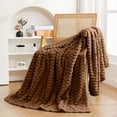 thumbnail image 2 of SDNall Winter Warm Blankets for Cold Weather, Extra Soft Velvet Fabric for Sofa Cover or Cozy Napping, Thickened Reversible Design, Easy Care Polyester, 50x60 Inches, 2 of 6