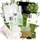 thumbnail image 1 of Pure Parker Heaven & Earth Cucumber Melon & Green Tea Canasta de t? Pure Parker Pure Parker Heaven & Earth Cucumber Melon & Green Tea Canasta de tŽ, 1 of 2