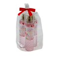 thumbnail image 2 of Perfume Bath & Body Works Gingham Gorgeous, 240 ml, paquete de 3, 2 of 8
