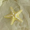 thumbnail image 2 of Stable Grip Hair Clip 5pcs Girls Hairpin Set with Starfish Shape Hair Clip Stable Grip Macaron Colors Trendy Summer Hair for Beach for Women, 2 of 8