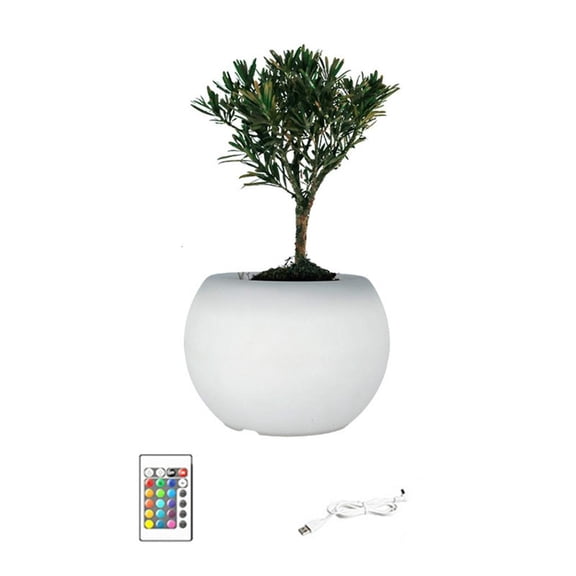 MOMOJIA Color Changing LED Planter Pot For Succulents Indoor Gardening Home Decoration