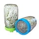 thumbnail image 5 of Kearding Tapa de botella de cultivo de brotes de frijol de acero inoxidable, tapa de conservación, accesorio de tapa de repuesto para hogar, Verde, 5 of 6