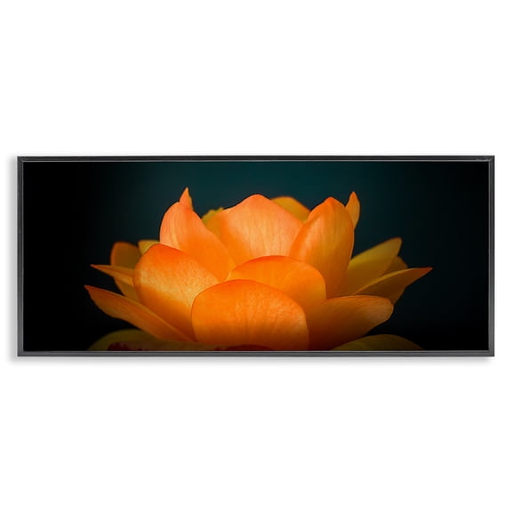 Glowing Orange Lotus Black Framed Giclee Art, design by Phillip Flowers