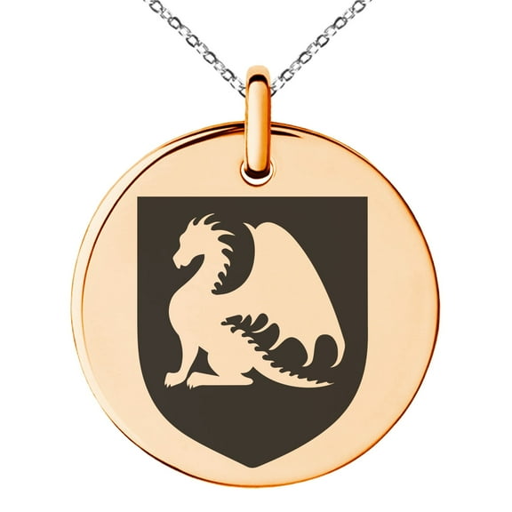 Tioneer Stainless Steel Dragon Guardian Coat of Arms Shield Engraved Small Medallion Circle Charm Pendant Necklace