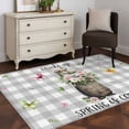 thumbnail image 4 of Grey Plaid Groundhog Area Rug 3x5 Washable Rug Non Slip Spring Floral Butterfly Botanical Large Area Rug Indoor Floor Carpet for Entryway Bedroom Kitchen Living Room Home Office Dining Room Nursery, 4 of 8
