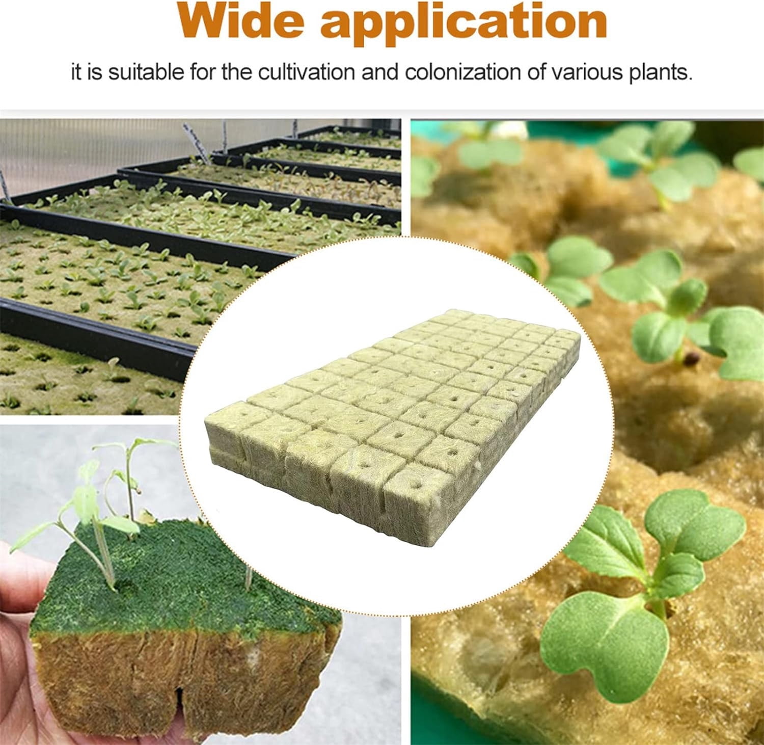 Bexikou 1.57" Rockwool Cubes for Hydroponics,Rockwool Starter Plugs for Starting Seeds,Rockwool Grow Cubes for Hydroponics Growing Systemm, Garden Supplies 2 Sheets of 100 Plugs