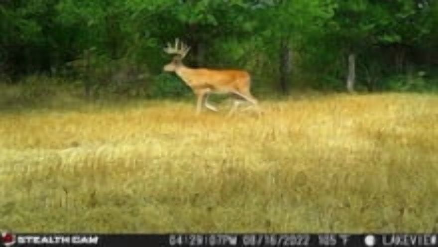 Stealth Cam Connect Max 2.0 Cellular Trail Camera