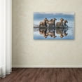 thumbnail image 3 of Trademark Fine Art 'Horses And Reflection' Canvas Art by Xavier Ortega, 3 of 3