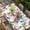 White, variant on Colorful Butterfly Table Cloths for 4 Foot Rectangle Tables, Elegant Pastoral Butterflies Rustic Watercolor Patio Waterproof Elastic Fitted Tablecloths, Washable Rectangular Table Cover for Camping