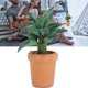thumbnail image 4 of Plantas en maceta en miniatura para casa de muñecas 1:12 adorno decorativo en miniatura para casa de muñecas DIY para amantes de las muñecas para niños ANGGREK Otros, 4 of 8