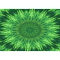 thumbnail image 1 of Ahgly Company Indoor Rectangle Patterned Green Area Rugs, 2' x 3', 1 of 6