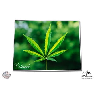erreinge Sticker Teschio Cartoon Adesivo Sagomato in PVC per Decalcomania Parete Murale Auto Moto Casco Camper Laptop - cm 35