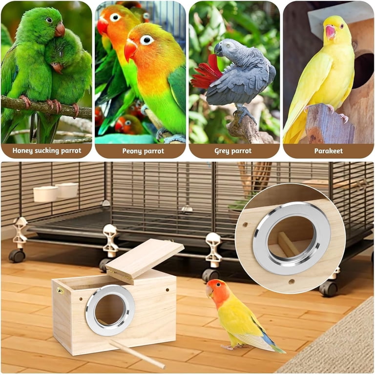 Parakeet Nesting Box with Transparent Observation Window, 8 Inch