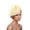 WH2, variant on HXWCHs Women Fascinator Hats Tea Party Hat Vintage Pillbox Hat Headband for Purple