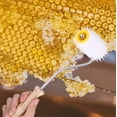 thumbnail image 3 of Outil d'Extraction d'Abeille Démontable Rouleau à Aiguille, Rouleau d'Apiculture, Peigne à Miel Outil d'Extraction Poignée Douce et Antidérapante pour Apiculture, 3 of 8