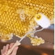 thumbnail image 4 of Rodillo Para Destapar Miel, Peine De Abeja Que Extrae La Apicultura, Equipo De Apicultor, Herramienta, Extractor Giratorio De Aguja Para Apicultores, 4 of 8