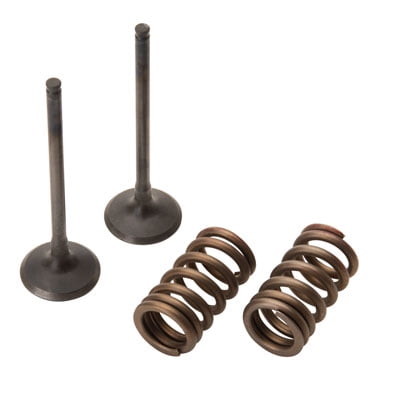 Pro X 28.SES4335-1 Steel Exhaust Valve/Spring Kit