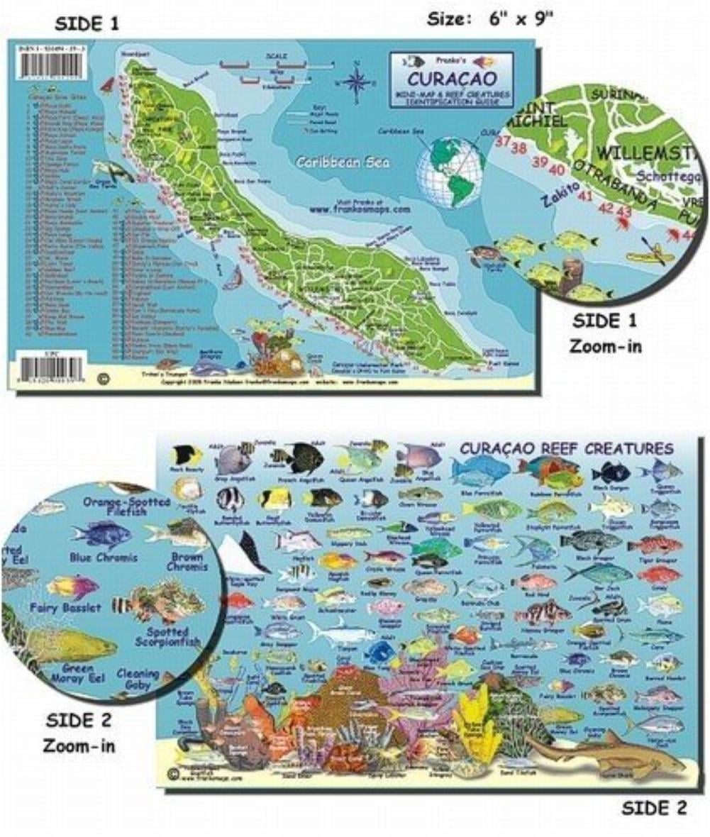 Curacao Reef Fish and Creature Guide Franko Laminated Maps Fish ID