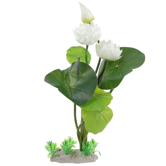 Moluckfu De En Plástico Con Aspecto Natural Y Duradero