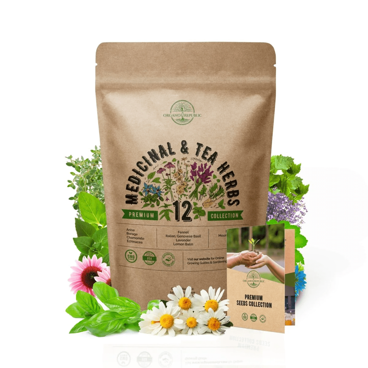 12 Medicinal & Tea Herb Seeds Variety Pack for Planting Indoor