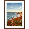 thumbnail image 2 of Art.com USA, California, La Jolla. Blooming aloe and Wipeout Beach Photographic Print by Ann Collins, Brown Frame Wall Art, 21" x 29", 2 of 5