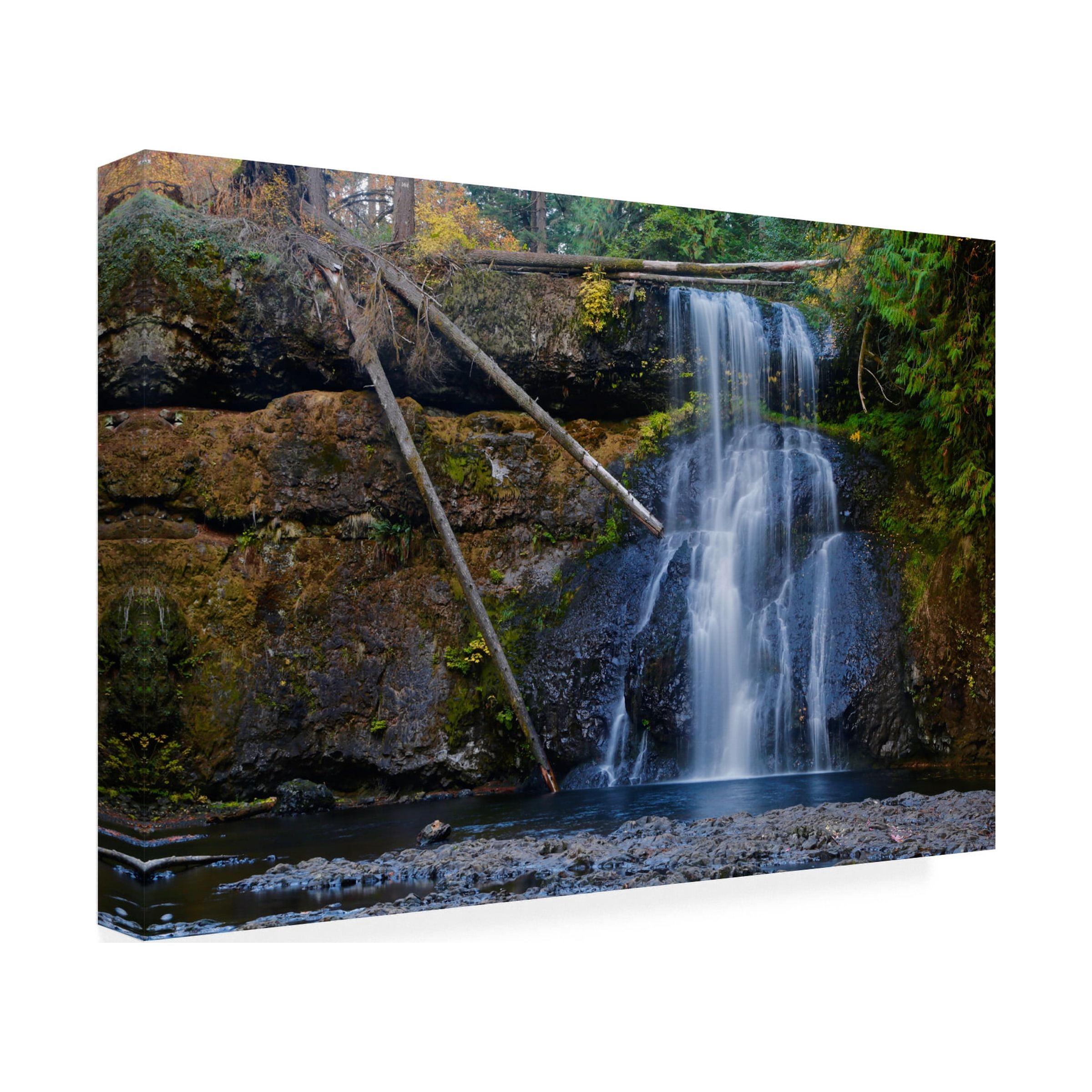 Susan Vizvary Photography 'Three Trunk Waterfall' Canvas Art