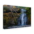 thumbnail image 2 of Susan Vizvary Photography 'Three Trunk Waterfall' Canvas Art, 2 of 4
