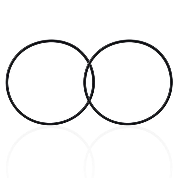 PSKMKS O-Ring Replacement P61733/P6025 O-Ring Compatible with Bestway Flowclear Filter Pump , Swimming Pool Seal Gasket, 2 pack