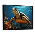 thumbnail image 2 of Designart "Monochrome Art of Coastal Turtle Life" Animals Turtle Floater Framed Wall Art Prints, 2 of 5