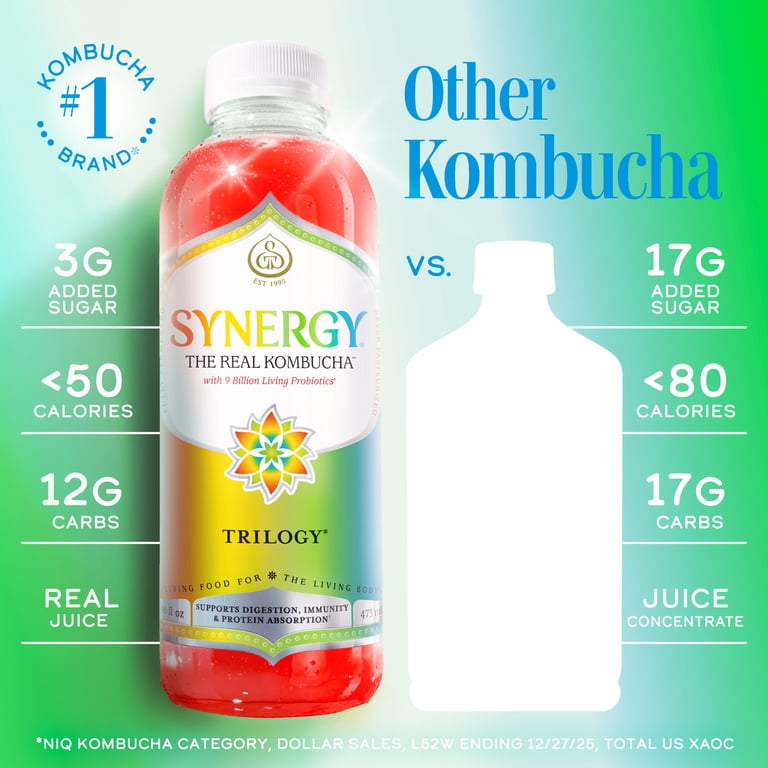 GT.S Synergy The Real Kombucha Trilogy 16 fl oz with Ginseng