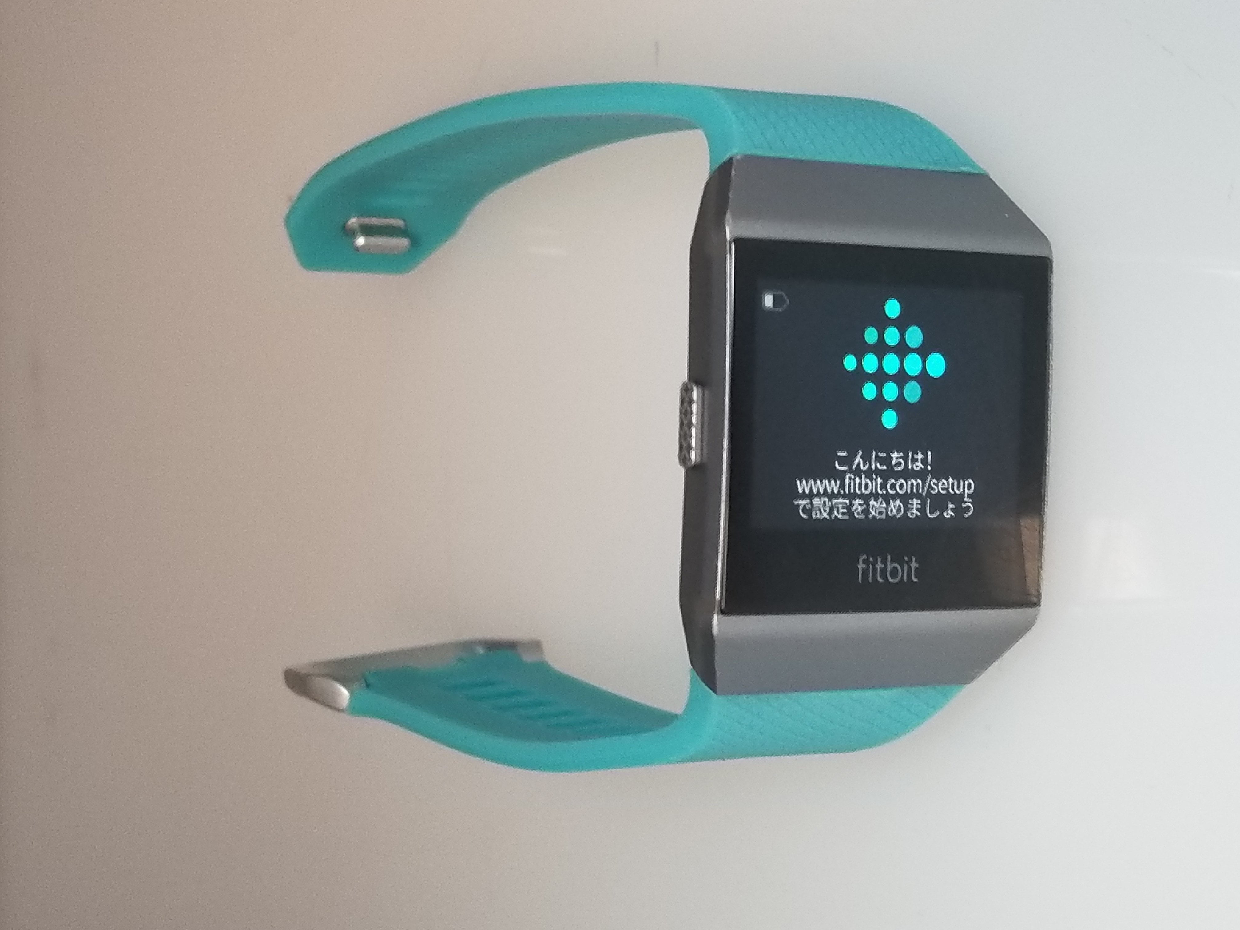 fitbit 503