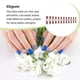 thumbnail image 3 of Soidarity Nail Art Delicado Extraíble Puntas Artificiales Extensión Uñas Moda Envolturas Herramientas de Manicura Decoración para Niñas Arte de uñas tipo 39 Soidarity  CE012300-39B, 3 of 6