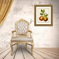 thumbnail image 3 of Vision Studio  15x18 Gold Ornate Wood Framed with Double Matting Museum Art Print Titled - Antique Fruit XI, 3 of 4