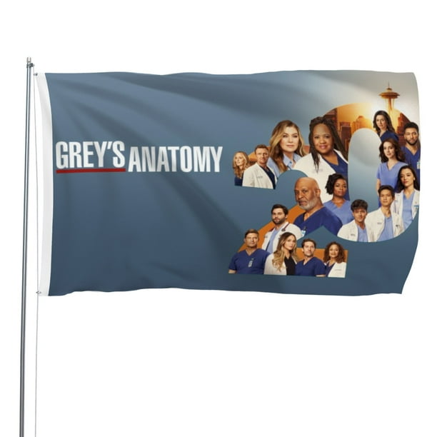 Baby Shark Bandera impresa con temática, regalo perfecto para fanáticos, amigos y familiares, y adecuada para actividades al aire libre e interiores, decoraciones de fiesta.40cm×60cm
