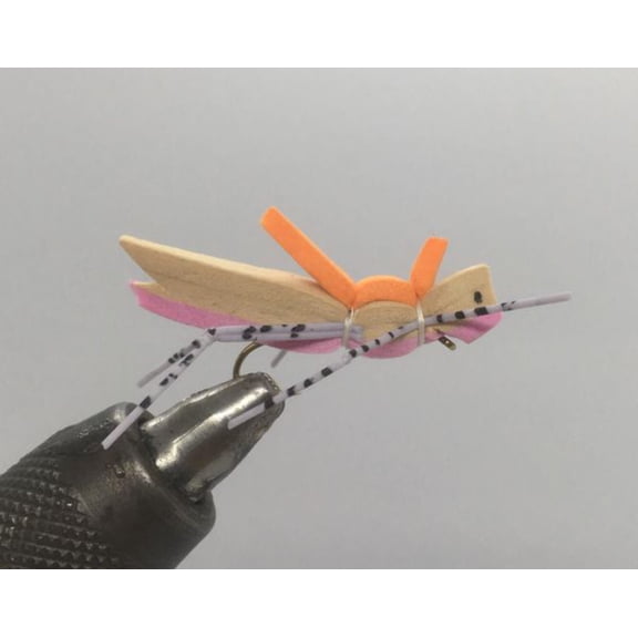 One Dozen (12) - Morrish Hopper - Pink - Terrestrial