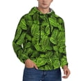 thumbnail image 2 of Wukai Tiny Green Fern Leaves Print Men Hoodies Fleece Sweatshirts Long Sleeve Sweaters Pullover Fall Outfits Winter Clothes-Medium, 2 of 7