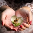 thumbnail image 3 of Adorno de escritorio de acrílico en forma de corazón transparente, ideal como regalo para peluqueros caninos o salones de belleza, 3 of 3