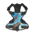 thumbnail image 4 of Lsque Elephant Giraffe Dog Harness, No-Pull Pet Harness with 2 Leash Clips, Adjustable Soft Padded Dog Vest with Easy Control Handle for Large Dogs-X-Large, 4 of 9