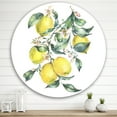 thumbnail image 2 of Designart 'Branch of Leaves and Yellow Lemons I' Tropical Circle Metal Wall Art 29x29 - Disc of 29, 2 of 5