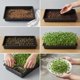 thumbnail image 5 of Charolas para cultivo de plantas EXTYQWC, 10 piezas, 17 x 11 cm, plástico negro, 5 of 6