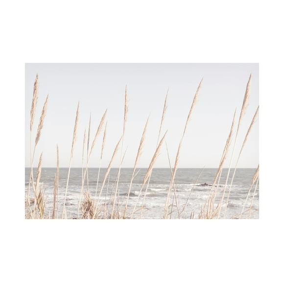 Trademark Fine Art Pictufy Studio Beach Vass 002 Canvas Wall Art