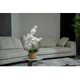 thumbnail image 5 of 29" White Orchid Arrangement in a Tan Ceramic Planter | Real Touch White Moth Phalaenopsis Orchids by Fiori Sempre, 5 of 7