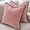 Dusty Pink, variant on Alchemic Living Dusty Rose Set of 2 Plush Velvet Pillow Covers 24x24 Inches (60x60cm) with Black Piped Edge | Solid Square Throw Cushion Covers for Sofa Living Room Bedroom