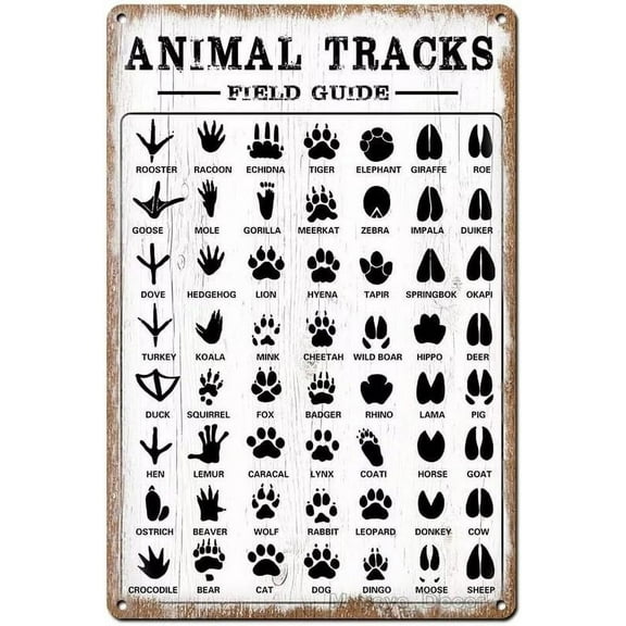 Funny Animal Tracks Field Guide Metal Tin Sign Farmhouse Home Rustic Decor Gifts - Woodland Nursery Decor Wall Art Decor Size: 8 x 12 Inches