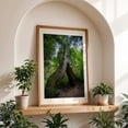 thumbnail image 4 of Looming Portal - Corbett Oregon Photography Forest Nature Wilderness Woodland Scenic Landscape Oak Framed Wall Art Print 12 x 18 inches, 4 of 59