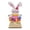 H, variant on CoreLiving Wood Rabbit Decorations Sign Easter Bunny Peeps Wooden Figurine Rustic Farmhouse Spring Tiered Tray Decor Neutral Tabletop Accent for Home Mantel