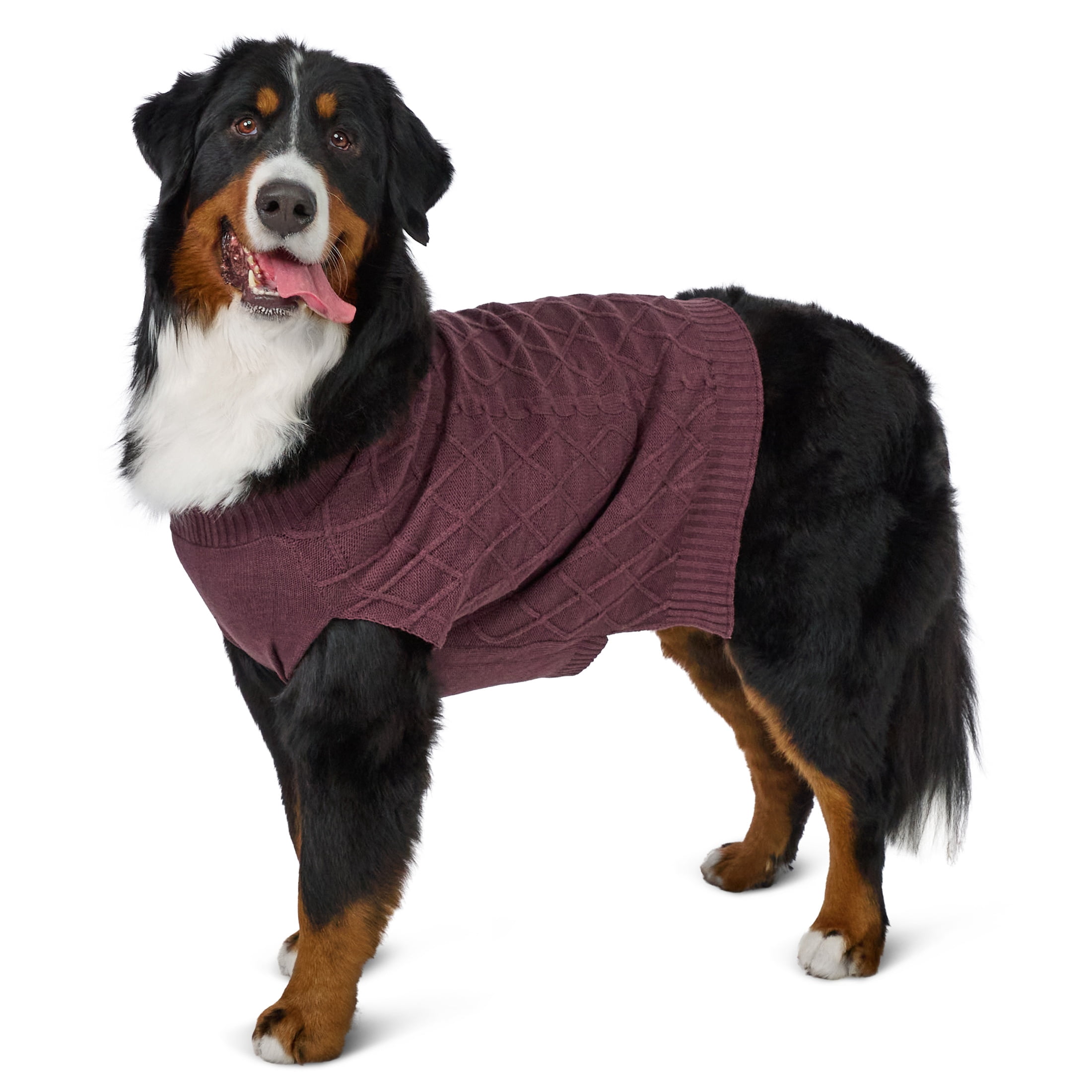 Vibrant Life Cable Knit Dog Sweater, Plum, XL, Among Other English Mastiff, Great Dane
