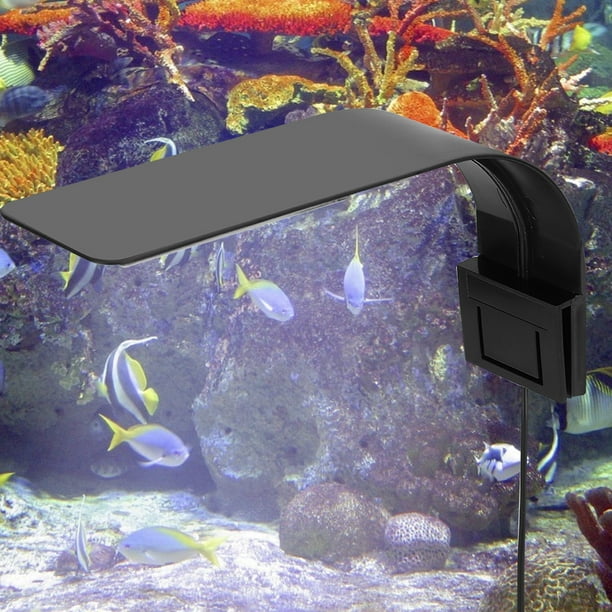 LAMPE AQUARIUM Poissons