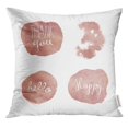 thumbnail image 1 of BSDHOME Paint Rose Gold Sparkle Splash Stains with Lettering and Two Hearts Brush Pillow Case 20x20 Inches Pillowcase, 1 of 1