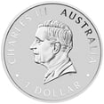 thumbnail image 5 of 2026 Australia Perth Mint Kookaburra BU 1/10 oz Platinum  Coin - In Capsule, 5 of 5